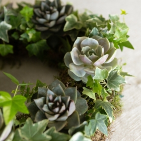 Living wreath