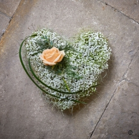 Gypsophila Heart